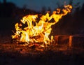 High flame of a bonfire Royalty Free Stock Photo