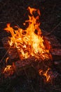 High flame of a bonfire. Fire in night Royalty Free Stock Photo