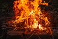 High flame of a bonfire. Fire in night Royalty Free Stock Photo
