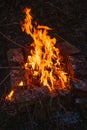 High flame of a bonfire. Fire in night Royalty Free Stock Photo