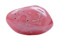 High grade polished banded Rhodochrosite stone from Argentina isolated on white