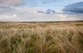 Field under blue sky in Ireland Royalty Free Stock Photo