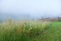 High grass on the pasture with wooden fence, foggy morning. Royalty Free Stock Photo