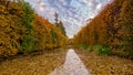 High hedge, clouds and its reflection in the pond at the Oliwa Park in the autumn scenery. Royalty Free Stock Photo