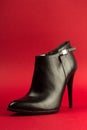 High heel black shoe on red background Royalty Free Stock Photo