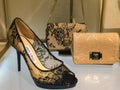 High heel women Jimmy Choo elegant black shoe and handbags for women.
