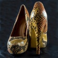 High heel snake skin shoes Royalty Free Stock Photo