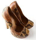 Snake skin high heel shoes Royalty Free Stock Photo