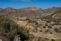 Hills with olive trees, Crete, Greece Royalty Free Stock Photo