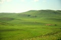 High hills overgrown with grass in the endless steppe under the summer cloudy sky