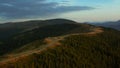 High hills path drone view among tranquil green sequoia trees growing mountains Royalty Free Stock Photo