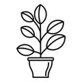 High houseplant icon, outline style