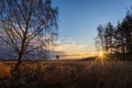 High hunter seat silhouette in dry grass and trees. Sunrise on early winter czech landscape