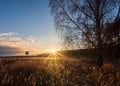 High hunter seat silhouette in dry grass and trees. Sunrise on early winter czech landscape