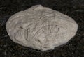 High hydration rye and wheat sourdough ready for shaping artisanal rustic wholegrain sourdough bread loaf, photo series