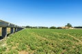 High irrigation channel made of cement