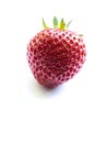 High key image of a beautiful ripe strawberry