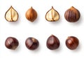 High key lighting highlights six dark red chestnuts, arranged in two rows on a white background, each with unique Royalty Free Stock Photo