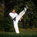 High kick martial arts