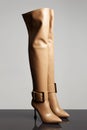 high leather women's boots. Trendy Wellingtons hight heels shoes