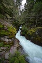 Torrential Avalanche Creek in Glacier National Park, Montana after heavy rains.