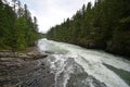 Torrential McDonald Creek in Glacier National Park, Montana after heavy rains. Royalty Free Stock Photo