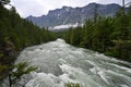 Torrential McDonald Creek in Glacier National Park, Montana after heavy rains. Royalty Free Stock Photo