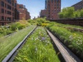 The High Line is a famous public park in Manhattan United States.