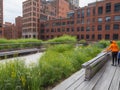 The High Line is a famous public park in Manhattan United States.