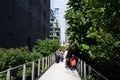 The High Line 50