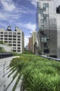 High Line in NYC