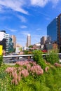 High Line Park Manhattan New York US Royalty Free Stock Photo