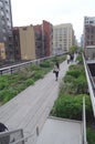 The High Line Park New York City Tom Wurl Royalty Free Stock Photo