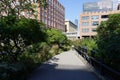 The High Line Part 2 20