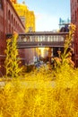 High Line Public Park in New York City Royalty Free Stock Photo