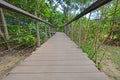 High long stairs with fences in the forest