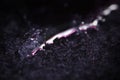 high magnification close-up of spilled water on dark blue boild wool with pink refelction Royalty Free Stock Photo