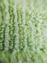 High magnification macro of green high absorbent fabric or carpet Royalty Free Stock Photo