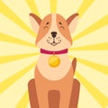 High-minded Akita-inu with Golden Medal on Neck Royalty Free Stock Photo