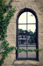 A high mirror window in an old house in which another building is reflected. The walls are covered with ivy. Royalty Free Stock Photo