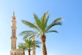 High mosque and green palm trees against a clear blue sky in Sharm El Sheikh Royalty Free Stock Photo