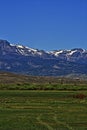 High mountain cattle pasture in front of Absaroka Mountain Range under summer cirrus and lenticular clouds near Dubois Wyoming Royalty Free Stock Photo