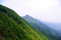 High mountain with green tree at southwest china Royalty Free Stock Photo