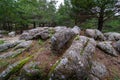 High mountain landscape with pine trees and large stones on the ground Royalty Free Stock Photo