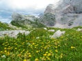 High mountain meadow at Prehodavci in Triglav national park