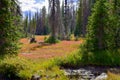 High Mountain Meadow and Stream