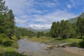 High mountain overview, with stone pine and flowing river