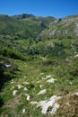 High mountain panorama with forest and isolated houses on the mountainside on a sunny day Royalty Free Stock Photo