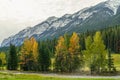 High snow-covered mountain range with green and yellow forest in the foreground