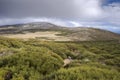 High-mountain scrublands of Cytisus oromediterraneus